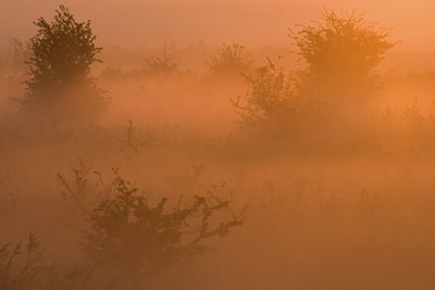 BUITEN BEELD Foto: 116623