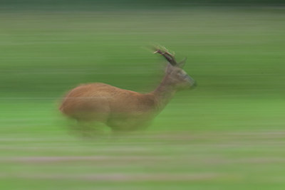 BUITEN BEELD Foto: 116653