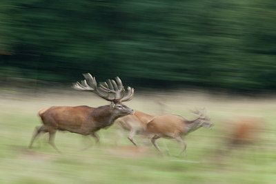 BUITEN BEELD Foto: 116662