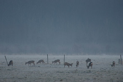 BUITEN BEELD Foto: 116673