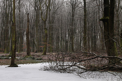 BUITEN BEELD Foto: 116685