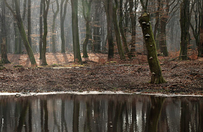 BUITEN BEELD Foto: 116691