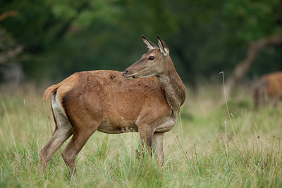 BUITEN BEELD Foto: 116702
