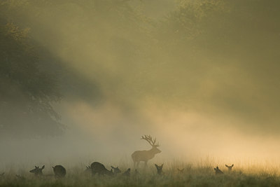 BUITEN BEELD Foto: 116708