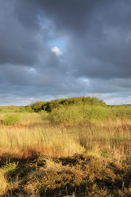 BUITEN BEELD Foto: 116731