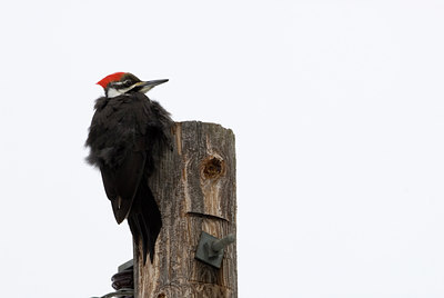 BUITEN BEELD Foto: 116742