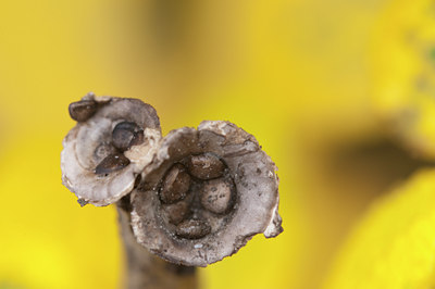 BUITEN BEELD Foto: 116788