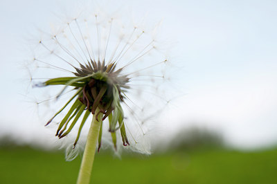 BUITEN BEELD Foto: 116798