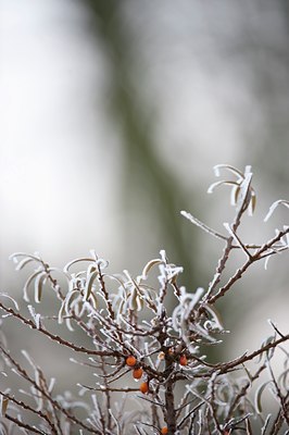 BUITEN BEELD Foto: 116808