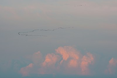 BUITEN BEELD Foto: 116810