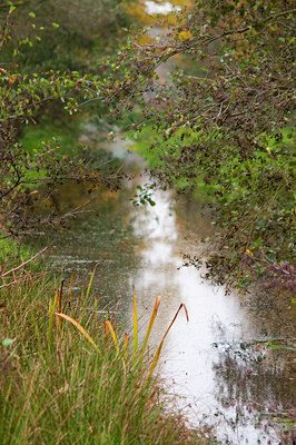 BUITEN BEELD Foto: 116822
