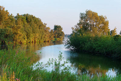 BUITEN BEELD Foto: 116823