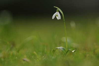 BUITEN BEELD Foto: 116878