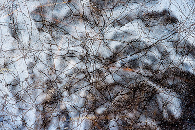 BUITEN BEELD Foto: 116887