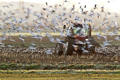 BUITEN BEELD Foto: 116947