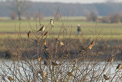 BUITEN BEELD Foto: 116954