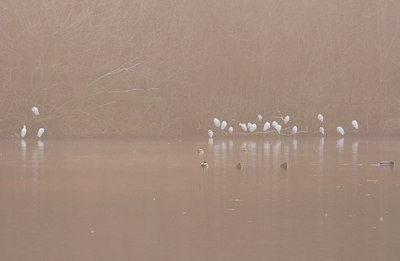 BUITEN BEELD Foto: 117018