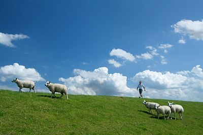 BUITEN BEELD Foto: 117072