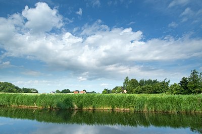 BUITEN BEELD Foto: 117075