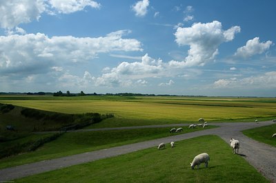 BUITEN BEELD Foto: 117080