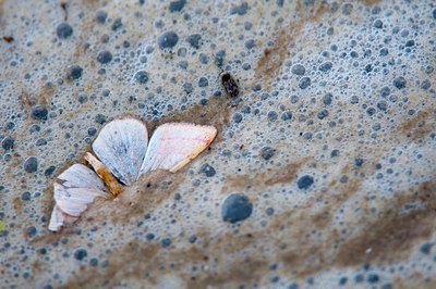 BUITEN BEELD Foto: 117104