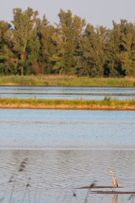 BUITEN BEELD Foto: 117111