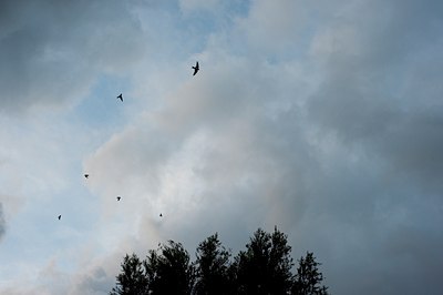 BUITEN BEELD Foto: 117129