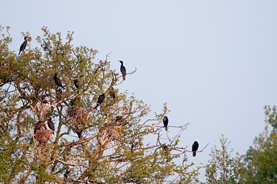 BUITEN BEELD Foto: 117139