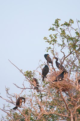 BUITEN BEELD Foto: 117140
