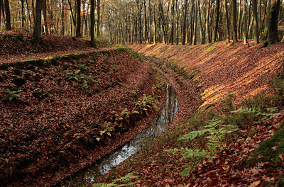 BUITEN BEELD Foto: 117158