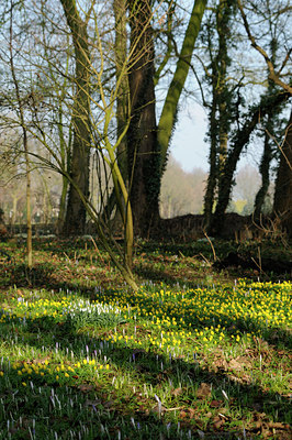 BUITEN BEELD Foto: 117185