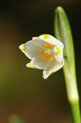 BUITEN BEELD Foto: 117194