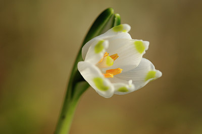 BUITEN BEELD Foto: 117195