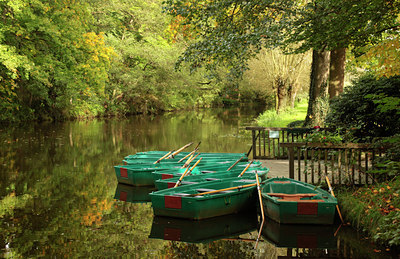 BUITEN BEELD Foto: 117200