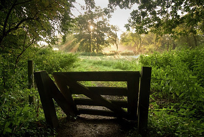 BUITEN BEELD Foto: 117241