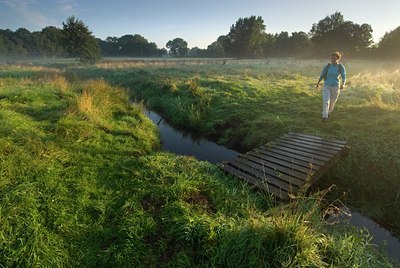 BUITEN BEELD Foto: 117246