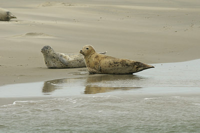 BUITEN BEELD Foto: 117257