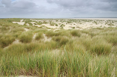 BUITEN BEELD Foto: 117274
