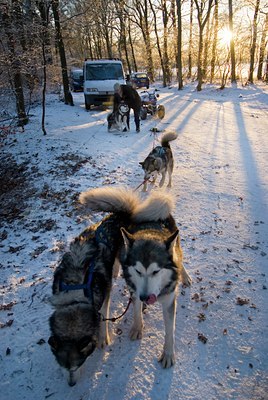 BUITEN BEELD Foto: 117398