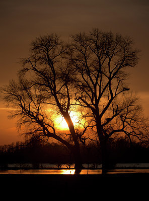 BUITEN BEELD Foto: 117403