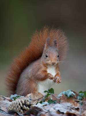 BUITEN BEELD Foto: 117411