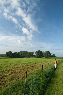 BUITEN BEELD Foto: 117453