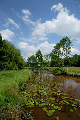 BUITEN BEELD Foto: 117472