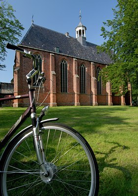 BUITEN BEELD Foto: 117474