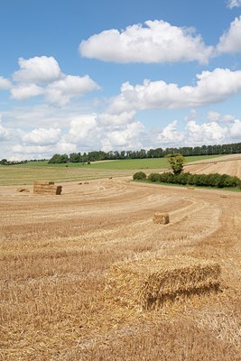 BUITEN BEELD Foto: 117498