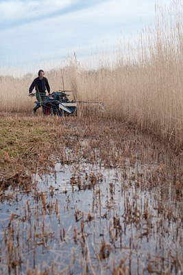 BUITEN BEELD Foto: 117509