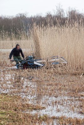 BUITEN BEELD Foto: 117517