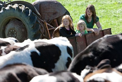 BUITEN BEELD Foto: 117534
