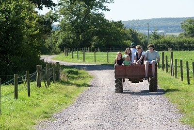 BUITEN BEELD Foto: 117535