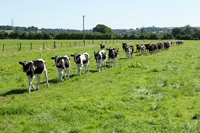 BUITEN BEELD Foto: 117559